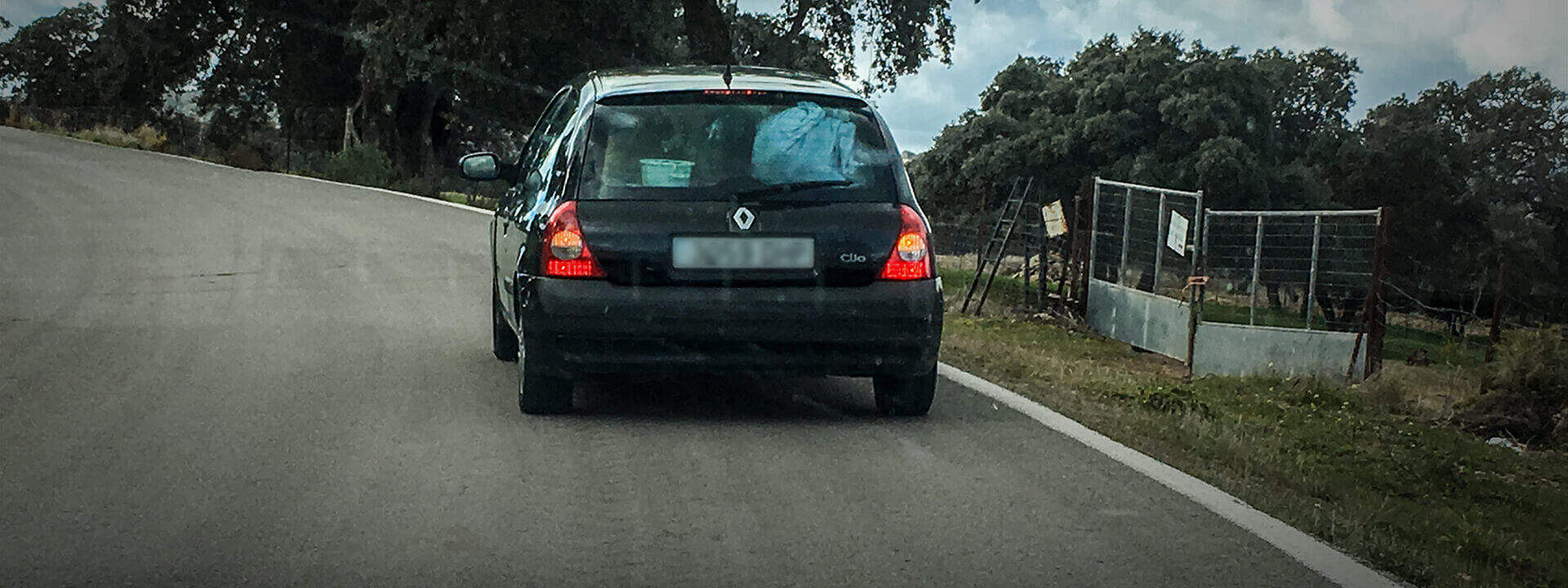 Hundeadoption in Andalusien Titel