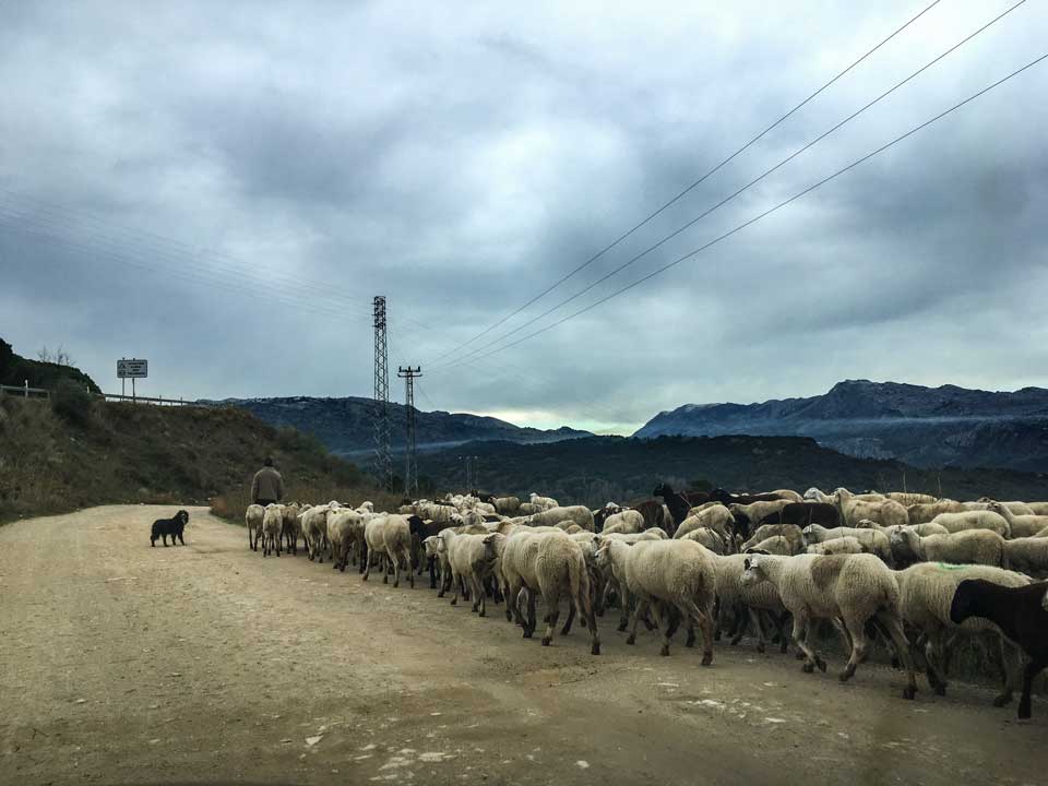 Winter in Andalusien 