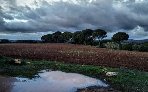 Winter in Andalusien – Titelbild