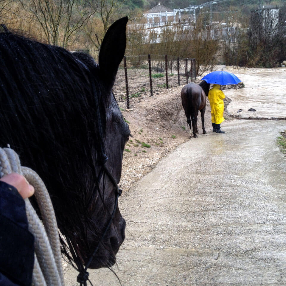 Der grosse Regen – Bonita